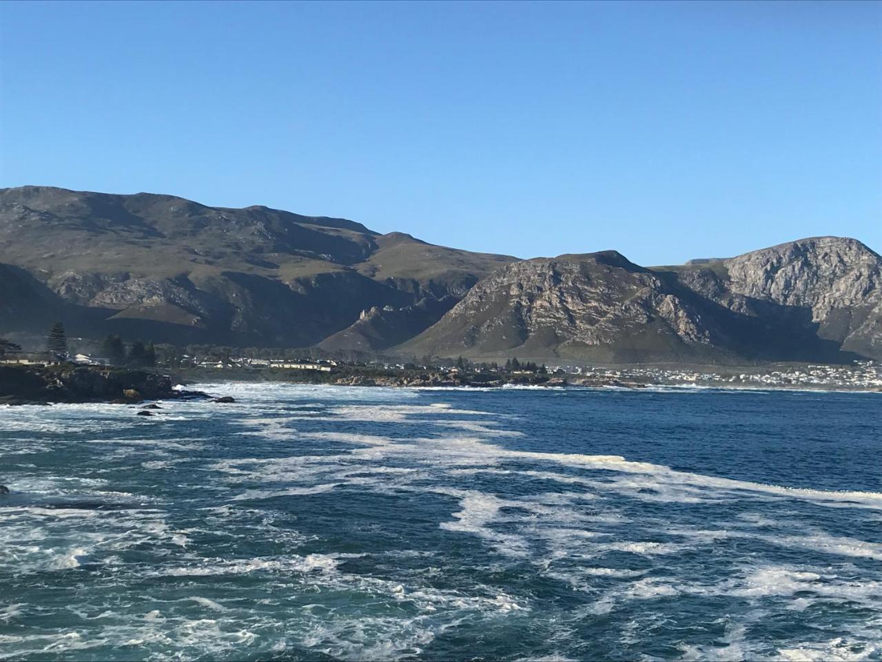 Bed and Breakfast Francolin Manor Hermanus Exterior foto