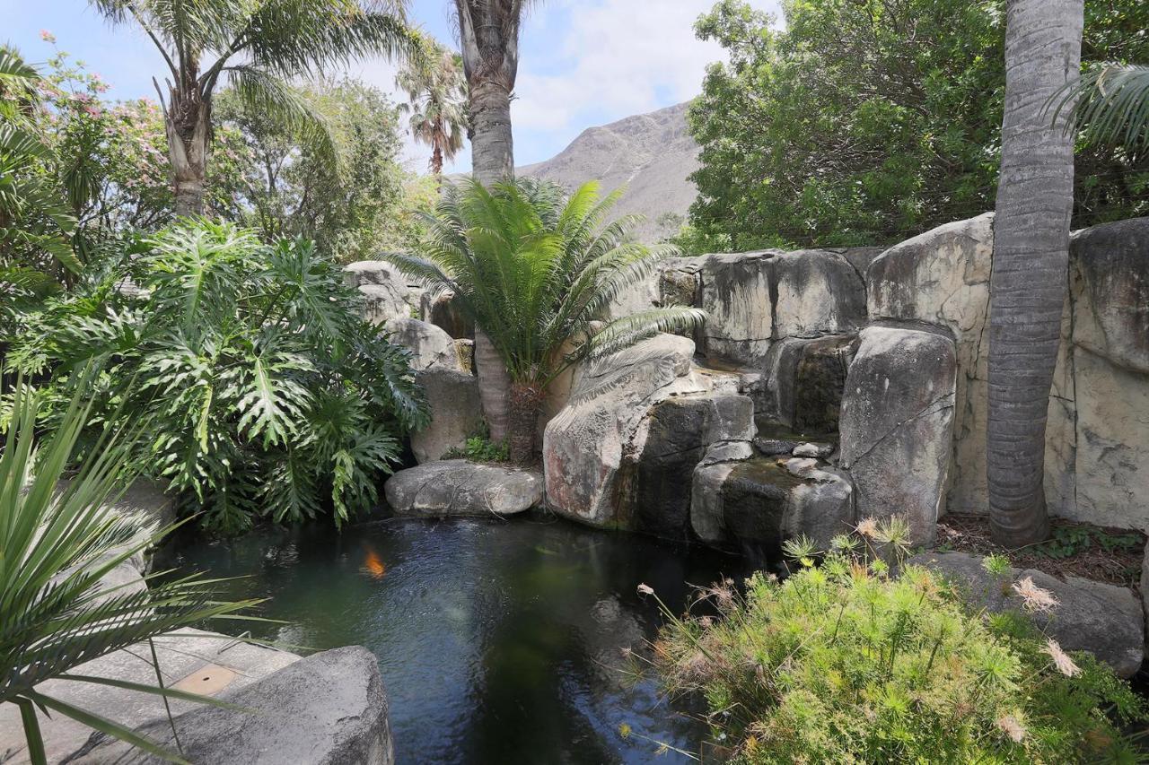 Bed and Breakfast Francolin Manor Hermanus Exterior foto