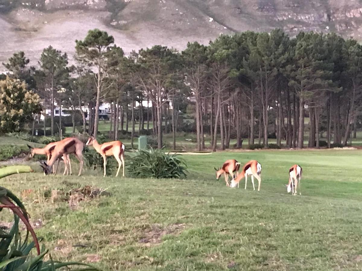 Bed and Breakfast Francolin Manor Hermanus Exterior foto